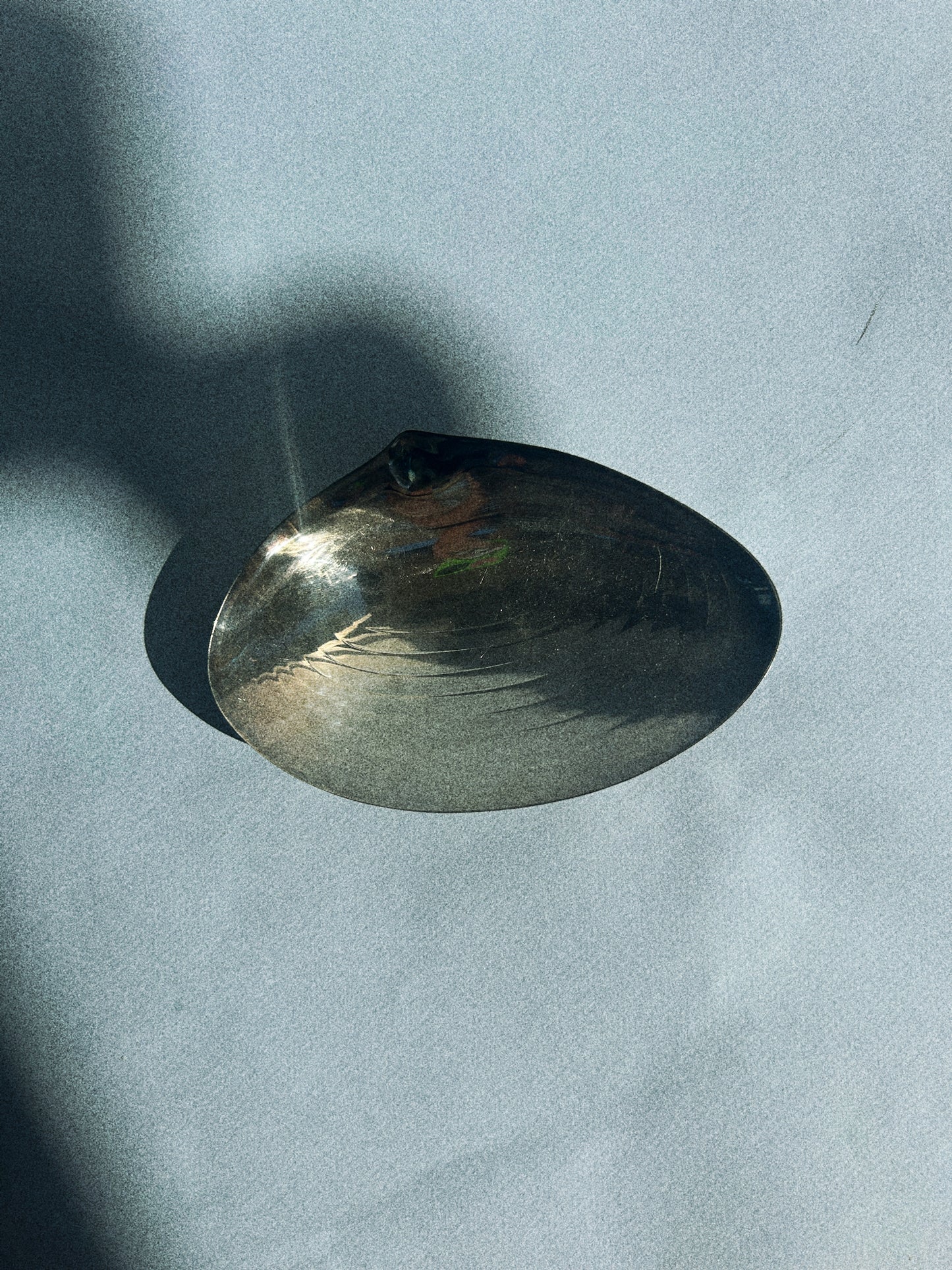 Vintage Silver Clam Shell, Small