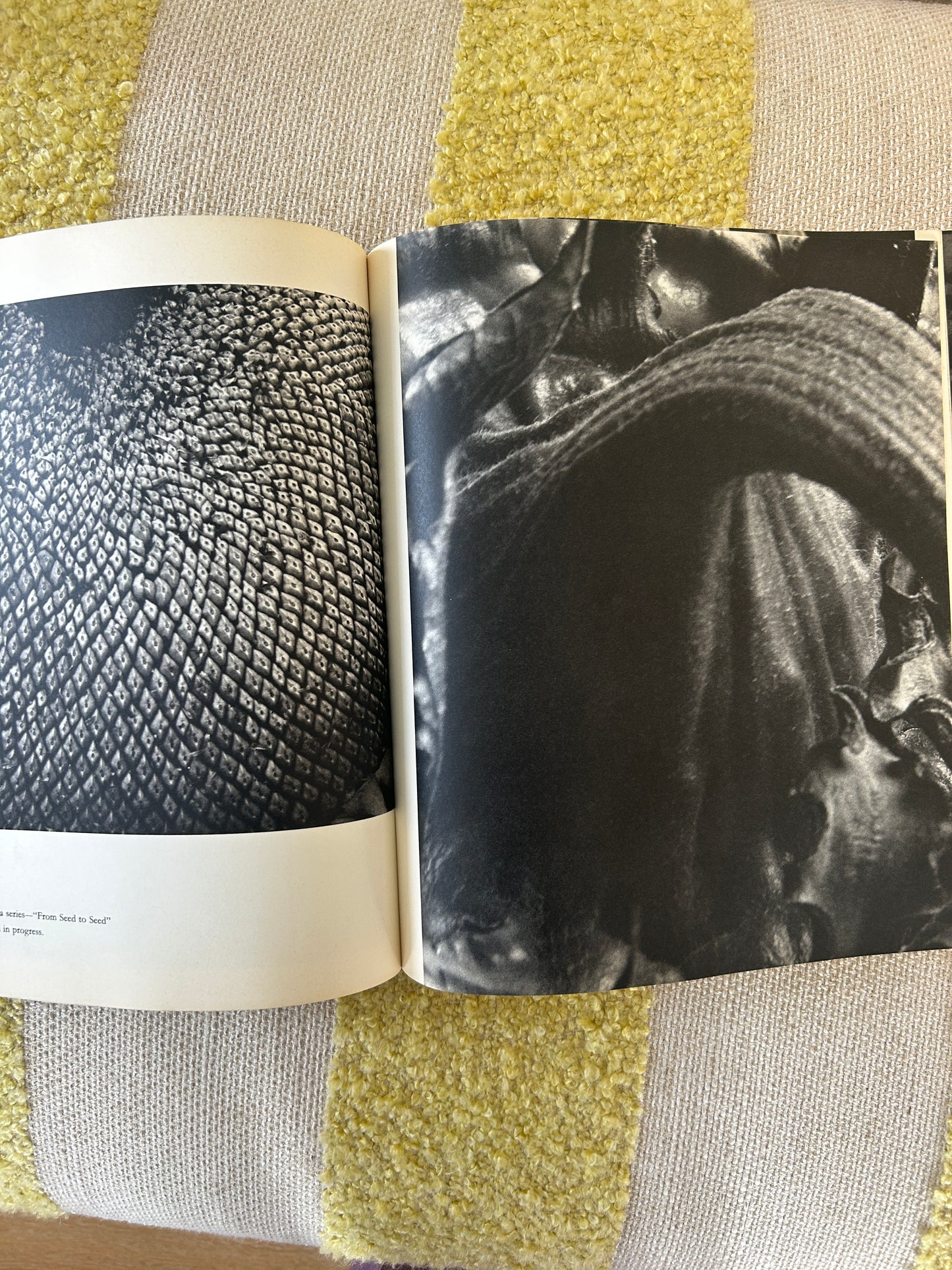 Vintage Steichen Book